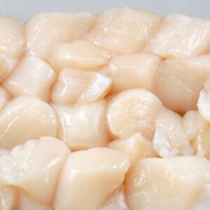 Scallop Meat